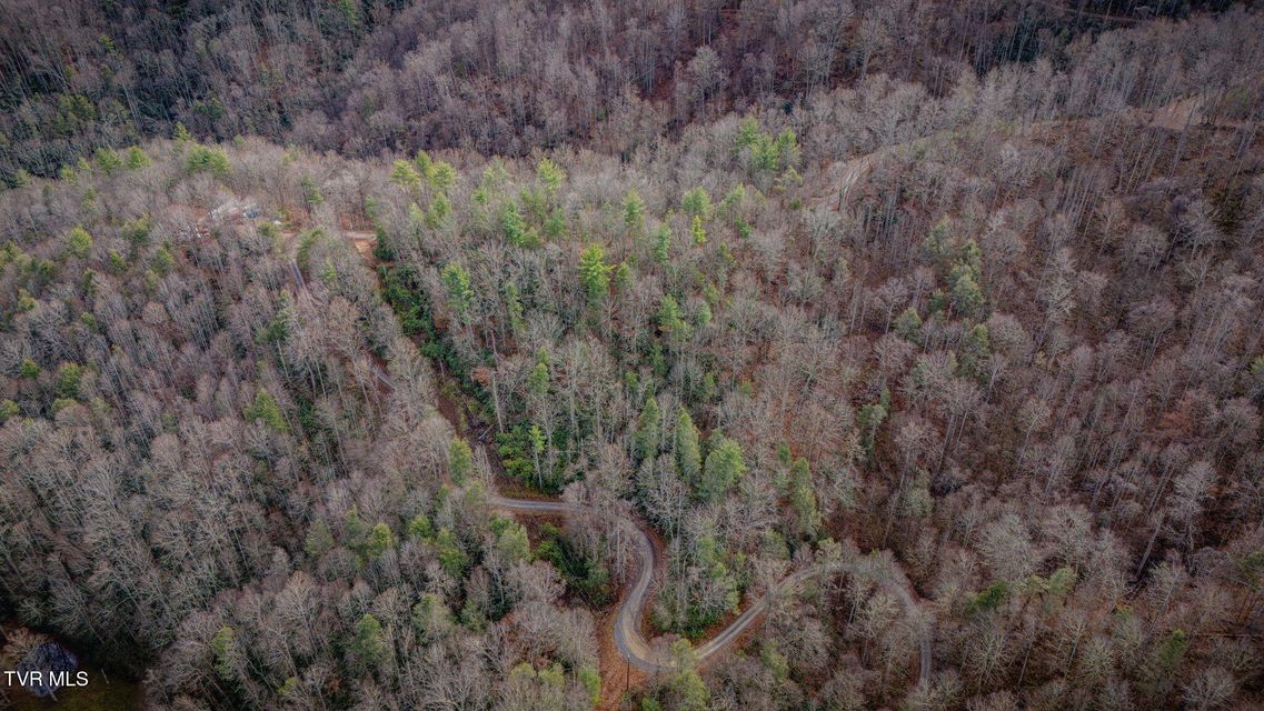 Photo #4: Tbd Heaton Branch Road 