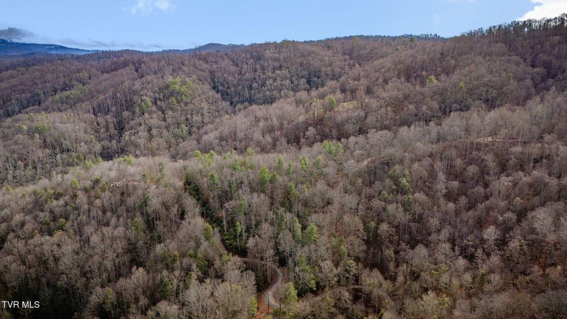 Photo #5: Tbd Heaton Branch Road 