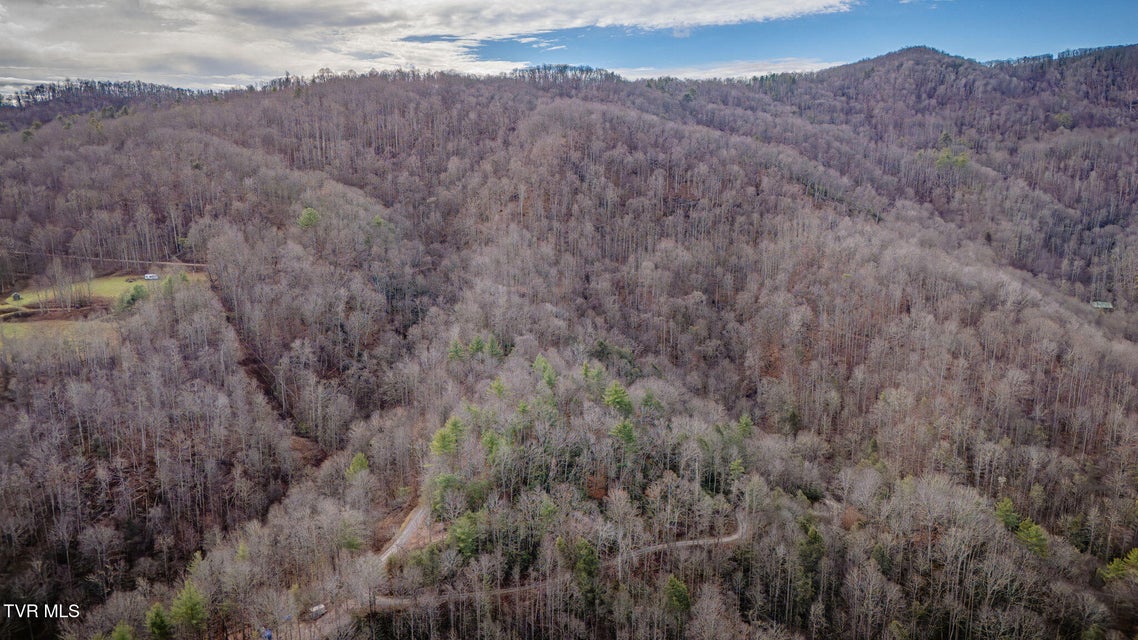 Photo #7: Tbd Heaton Branch Road 