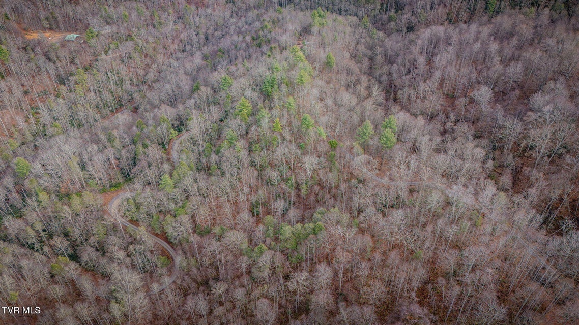 Photo #8: Tbd Heaton Branch Road 