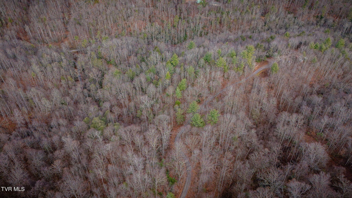 Photo #9: Tbd Heaton Branch Road 