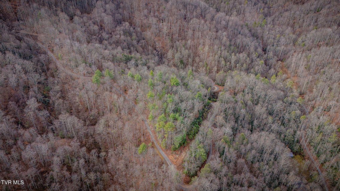 Photo #10: Tbd Heaton Branch Road 