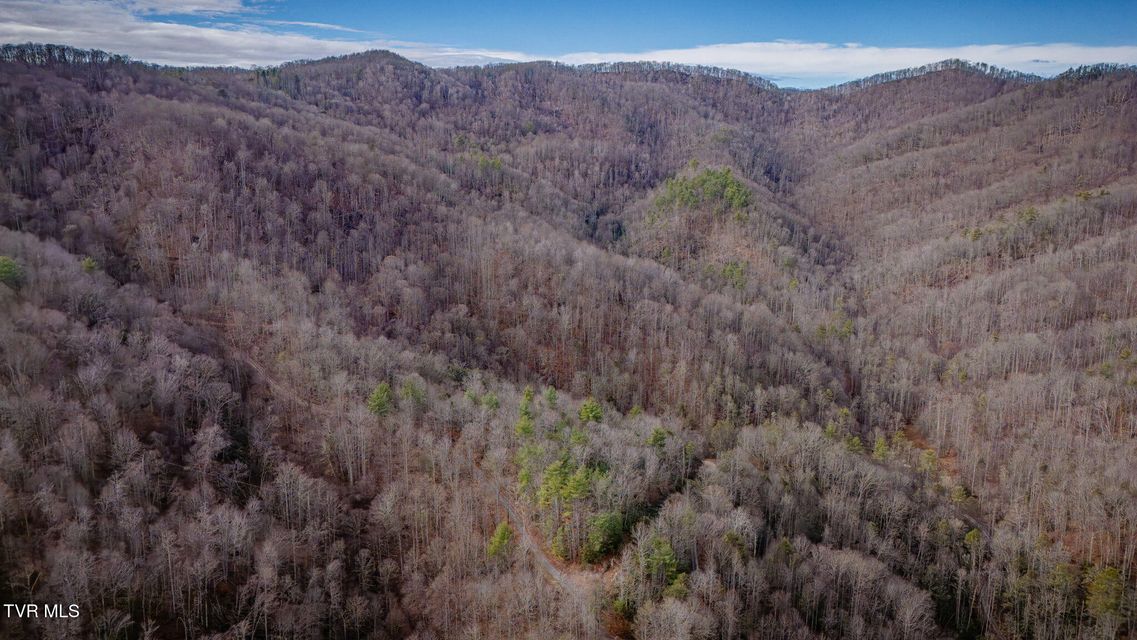 Photo #11: Tbd Heaton Branch Road 