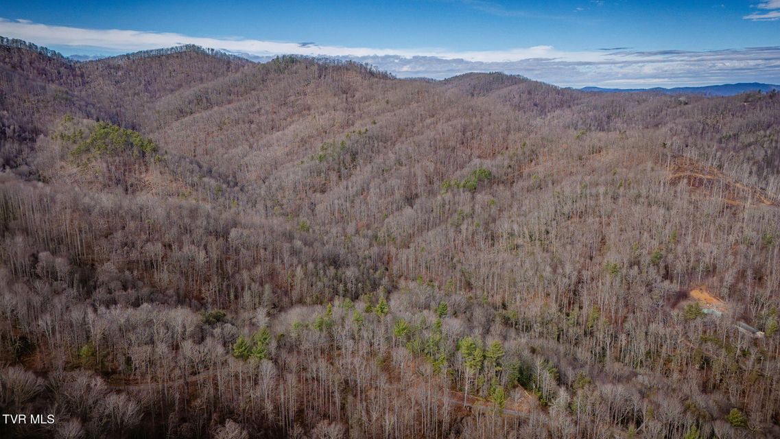 Photo #12: Tbd Heaton Branch Road 