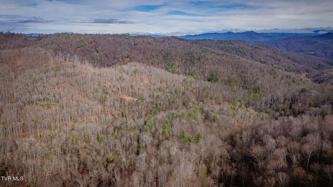 Photo #13: Tbd Heaton Branch Road 