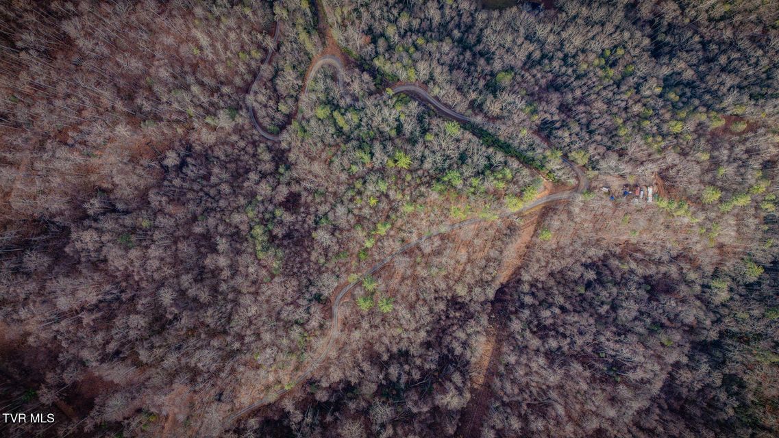 Photo #14: Tbd Heaton Branch Road 