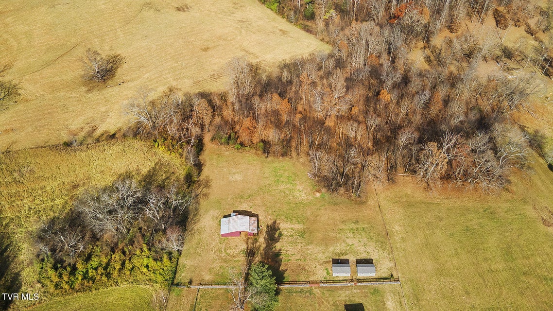 Photo #9: 4120 Allens Bridge Road