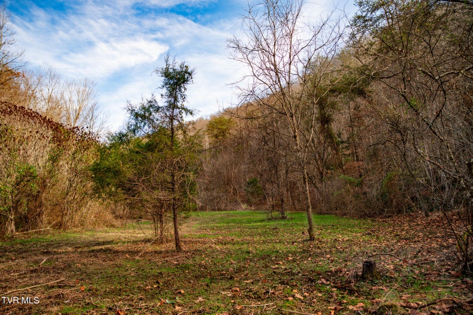 Photo #52: Tbd Panther Creek Road