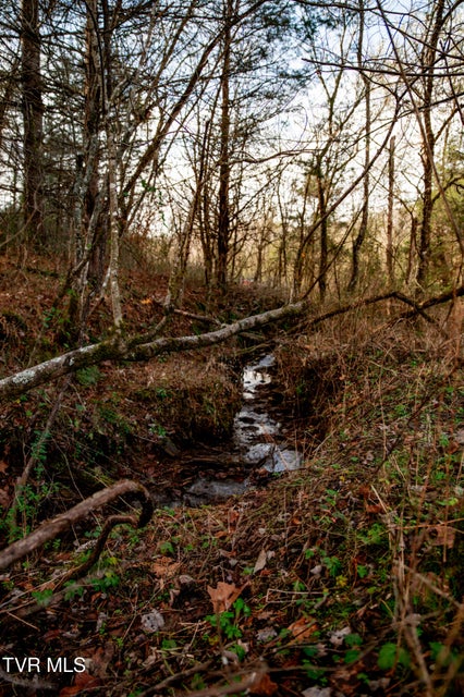 Photo #2: Tbd Panther Creek Road