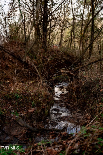 Photo #11: Tbd Panther Creek Road