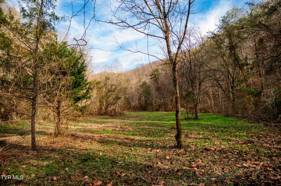 Photo #51: Tbd Panther Creek Road