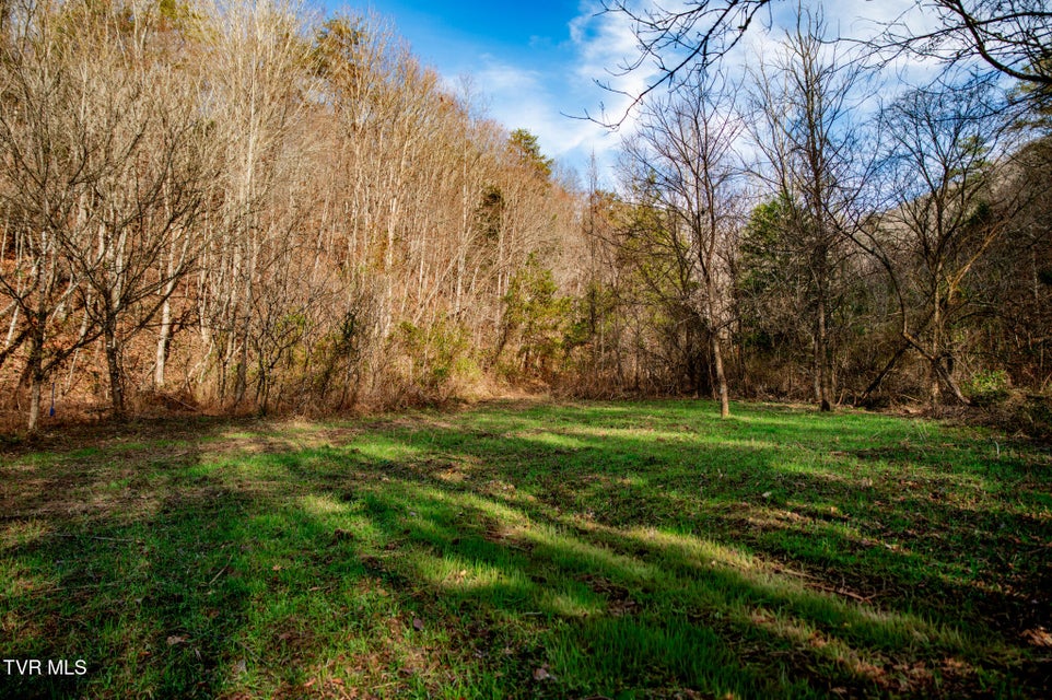 Photo #4: Tbd Panther Creek Road