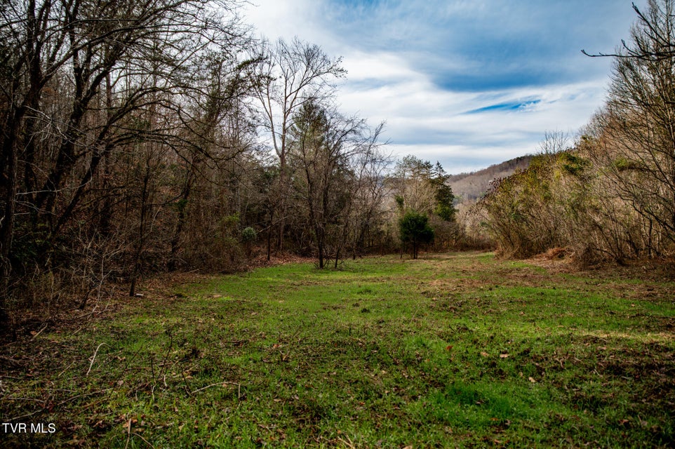 Photo #15: Tbd Panther Creek Road