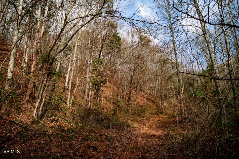 Photo #25: Tbd Panther Creek Road