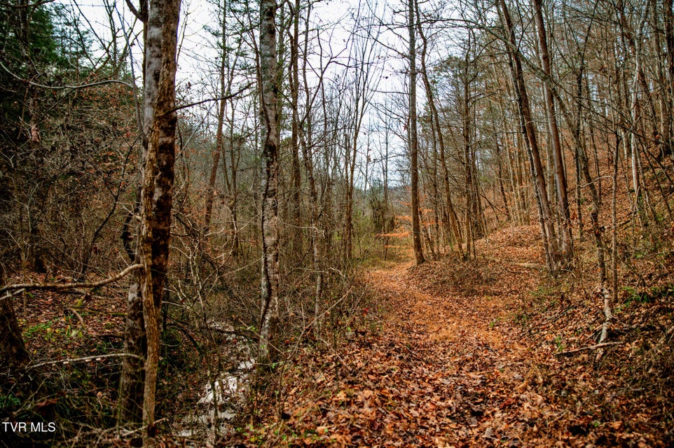 Photo #20: Tbd Panther Creek Road