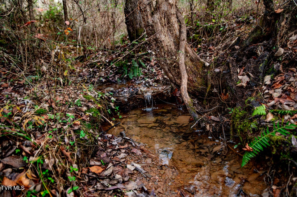 Photo #13: Tbd Panther Creek Road