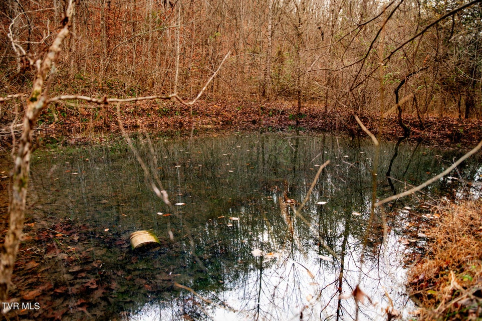 Photo #6: Tbd Panther Creek Road