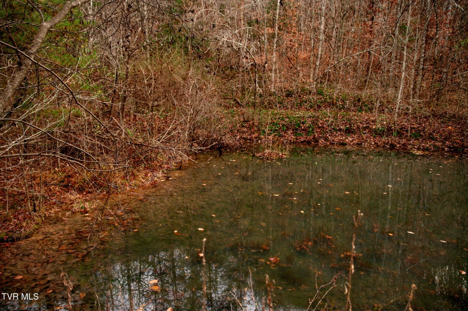 Photo #18: Tbd Panther Creek Road