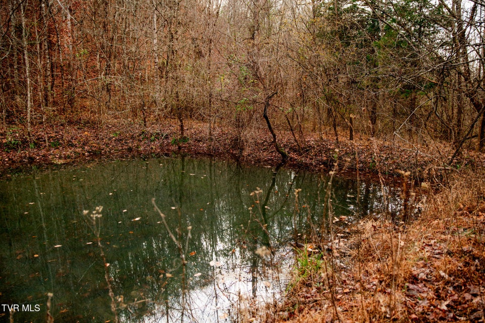 Photo #9: Tbd Panther Creek Road