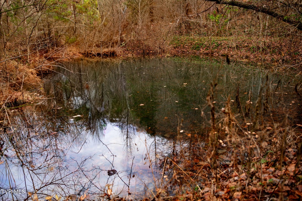 Photo #21: Tbd Panther Creek Road