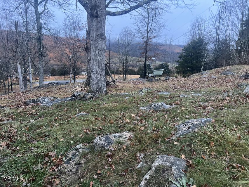 Photo #30: 490 Courthouse Drive