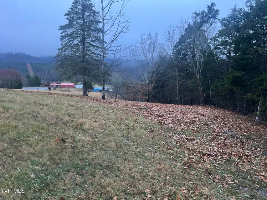 Photo #31: 490 Courthouse Drive