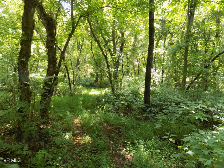 Photo #2: 000 Timberlake Circle 