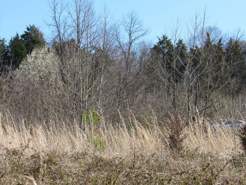 Photo #2: Lot 6 Rock Springs Road