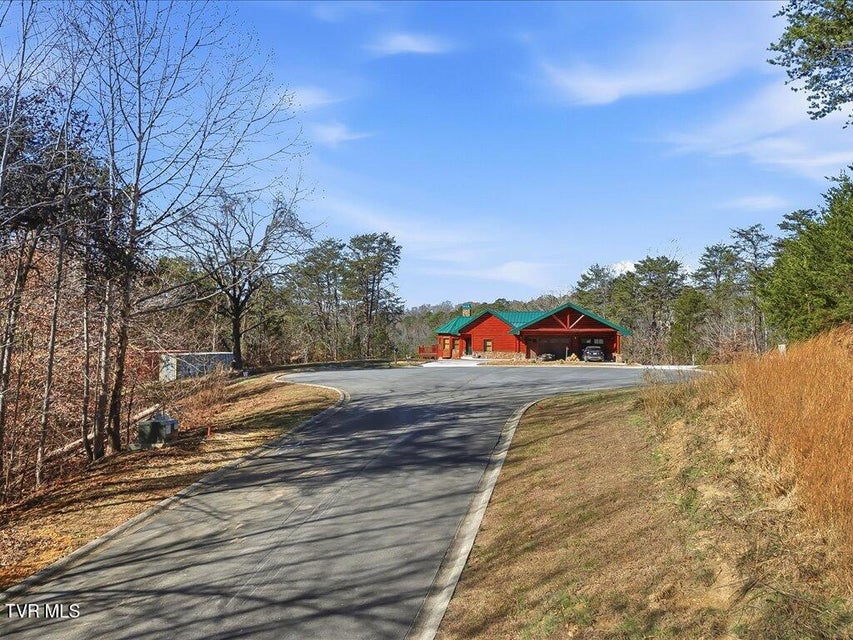 Photo #3: Lot 18 Cove Springs Drive