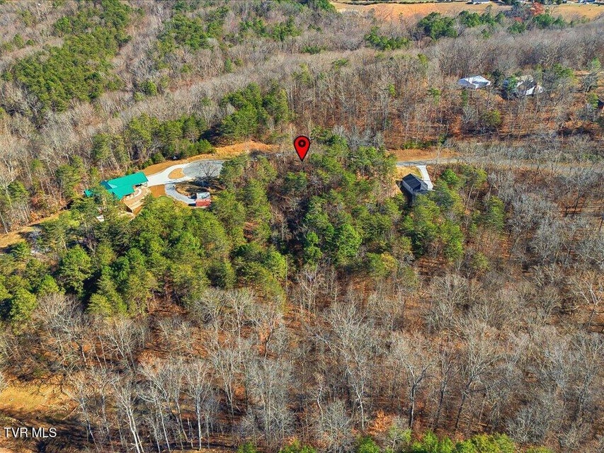 Photo #16: Lot 18 Cove Springs Drive