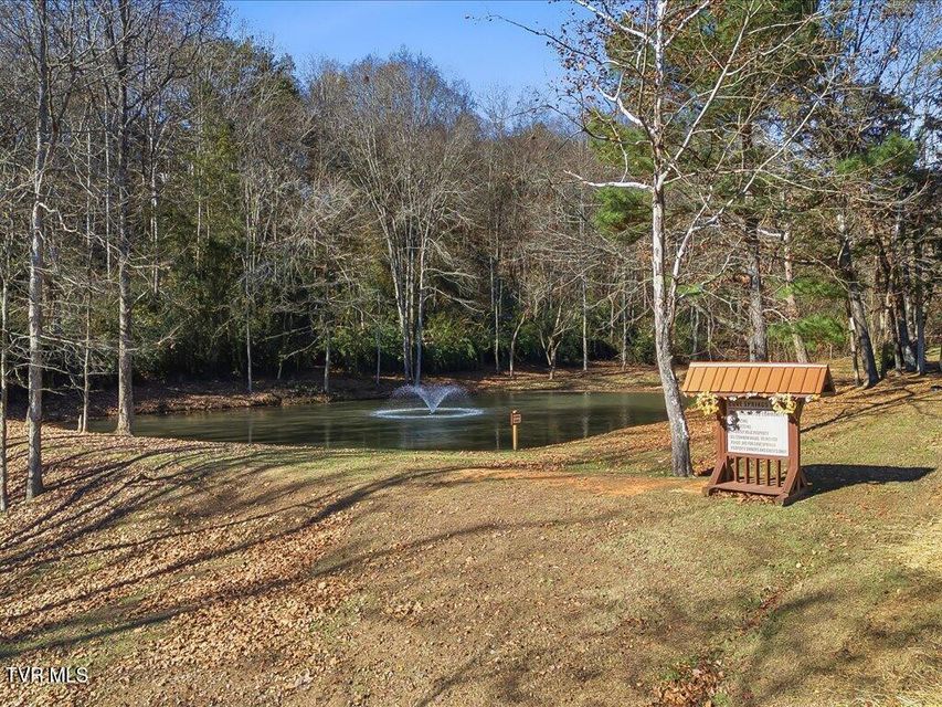 Photo #26: Lot 18 Cove Springs Drive