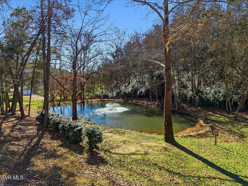 Photo #27: Lot 18 Cove Springs Drive