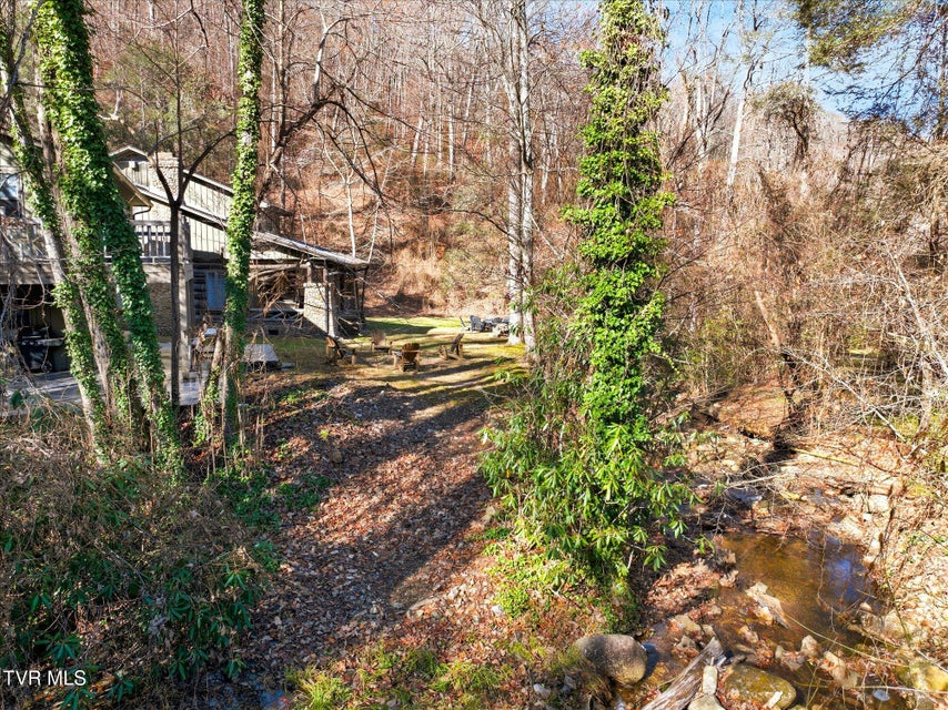 Photo #90: 951 Carson Springs Road