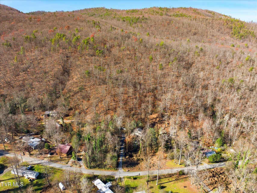 Photo #93: 951 Carson Springs Road