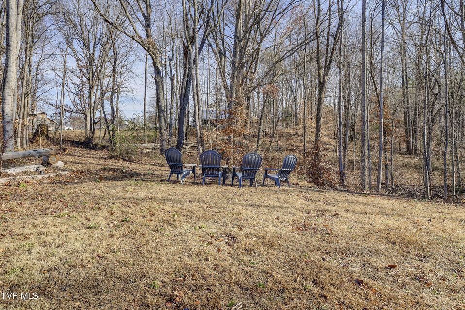 Photo #59: 238 Old Embreeville Road