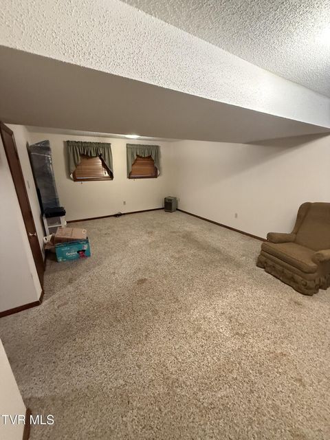 Photo #22: 529 Old Gray Station Road