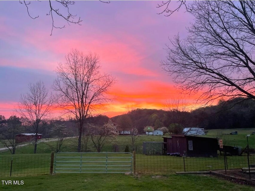 Photo #56: 9915 Warrensburg Road