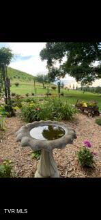 Photo #61: 9915 Warrensburg Road