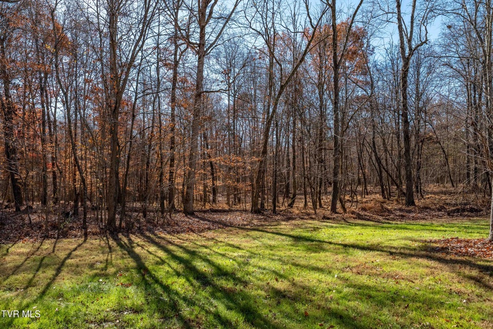 Photo #79: 500 Urbana Road