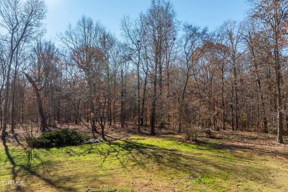 Photo #80: 500 Urbana Road