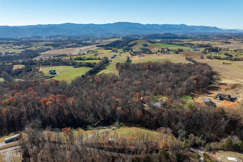 Photo #86: 500 Urbana Road