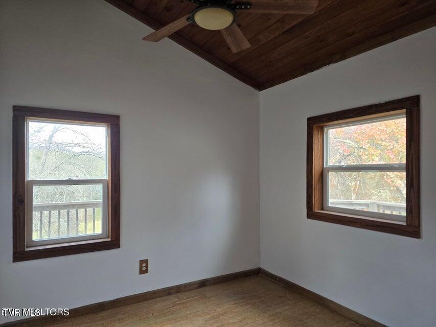 Photo #35: 197 Wolfe Road