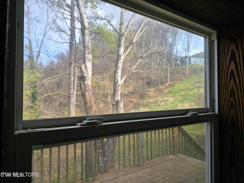 Photo #38: 197 Wolfe Road