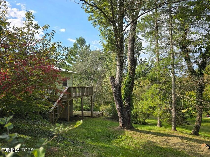 Photo #39: 197 Wolfe Road