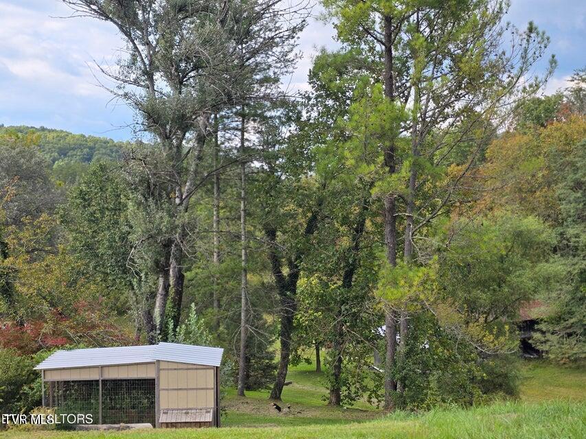 Photo #40: 197 Wolfe Road