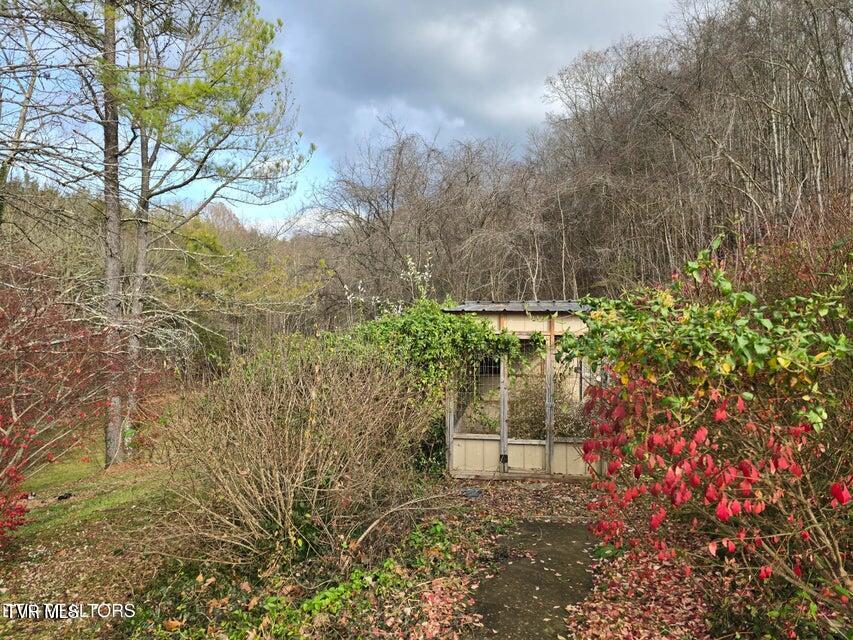 Photo #41: 197 Wolfe Road