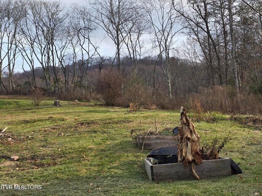 Photo #44: 197 Wolfe Road