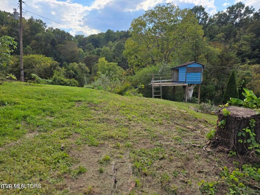 Photo #45: 197 Wolfe Road