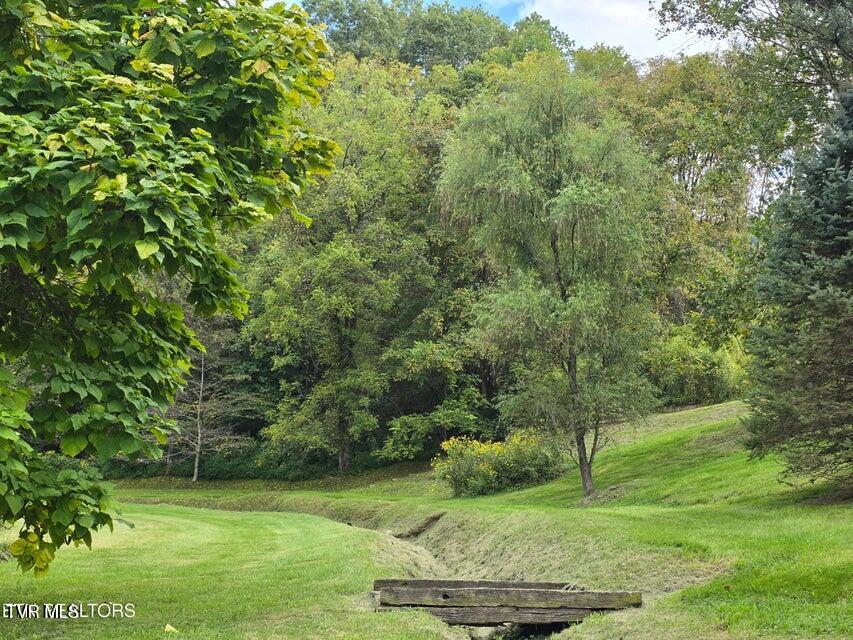 Photo #47: 197 Wolfe Road