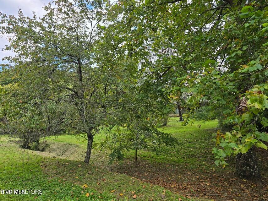 Photo #48: 197 Wolfe Road